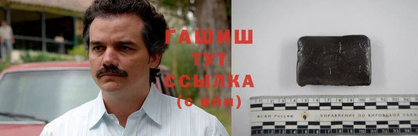 ECSTASY Новозыбков