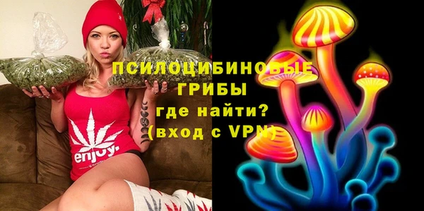 ECSTASY Новозыбков