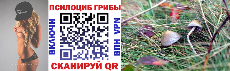 даркнет официальный сайт  Хвалынск  Псилоцибиновые грибы GOLDEN TEACHER  купить  